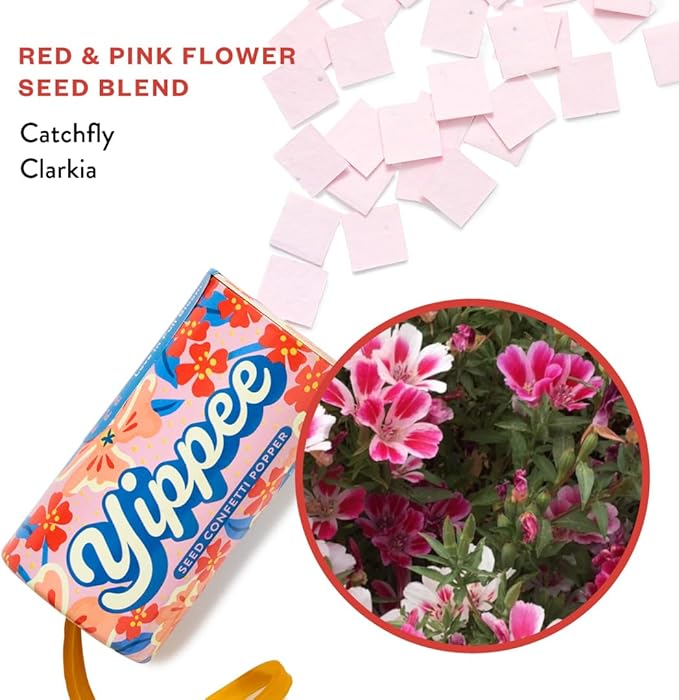 Modern Sprout Plantable Seed Paper Confetti Poppers Refill Packs - Image 6