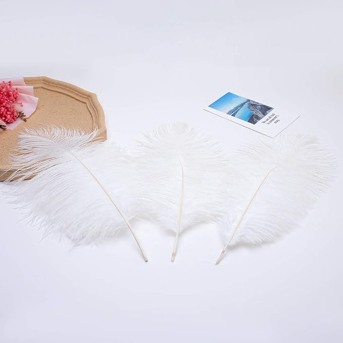 Ballinger Large White Ostrich Feathers - Image 9