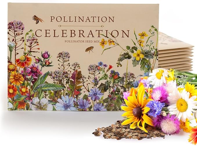 Bentley Pollination Celebration Wildflower Seed Packets, Uncoated Flower Mix by OfficialBentleySeedProducts