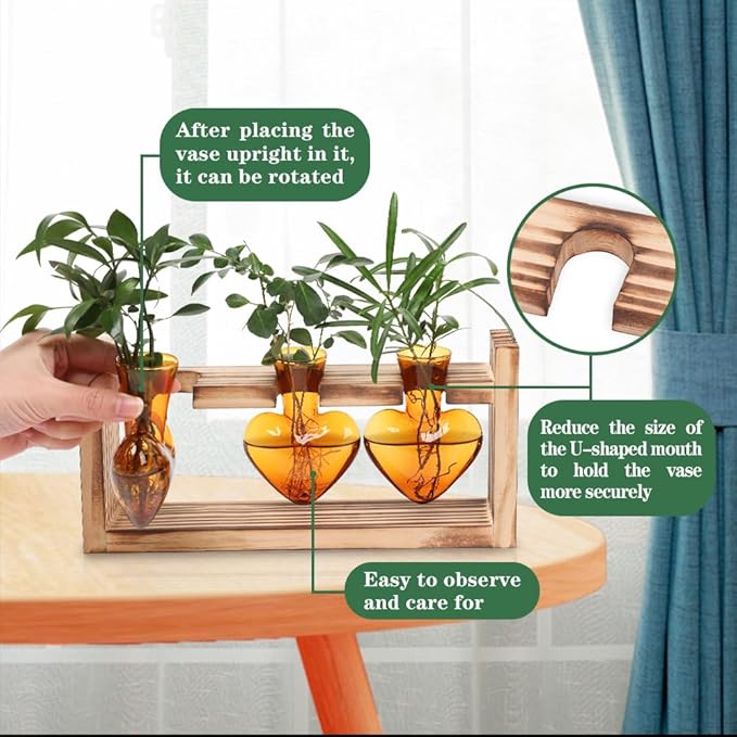 Plant Terrarium Propagation Stations Hydroponics Home Garden Decoration Gift - Image 3