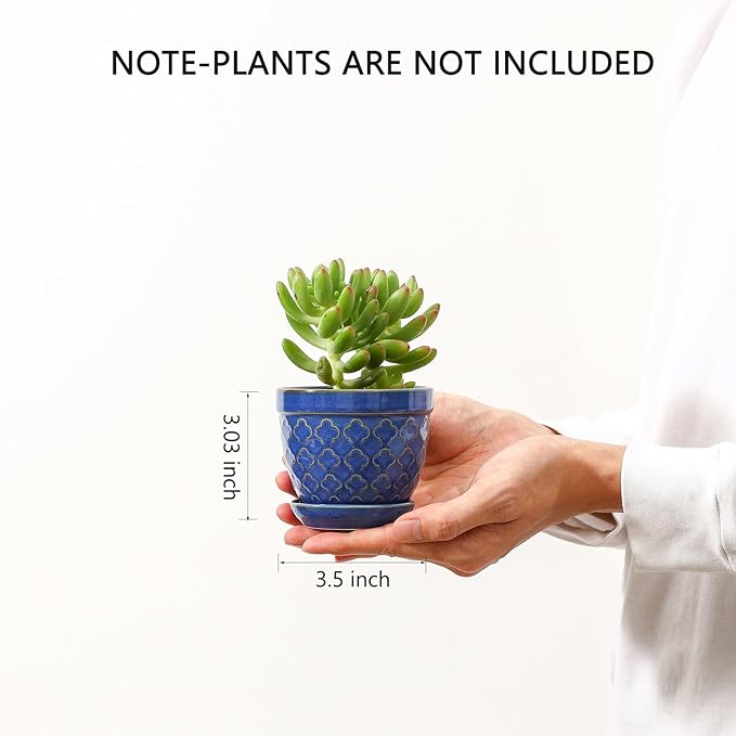 Sureasy Succulent Pots, 3.5 Inch Flower Pots - Image 2