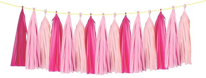 ZOOYOO Tassel Garland Tissue Paper Tassel Banner Table Decor, DIY Kits by ZOOYOO