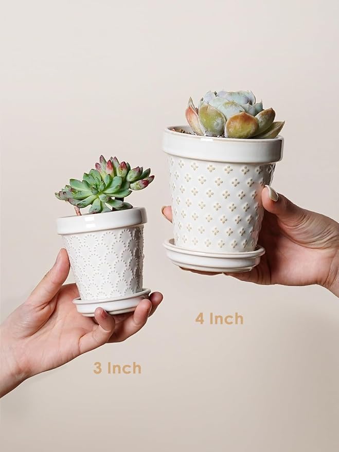 LE TAUCI 3 Inch Mini Succulent Pots - Image 6