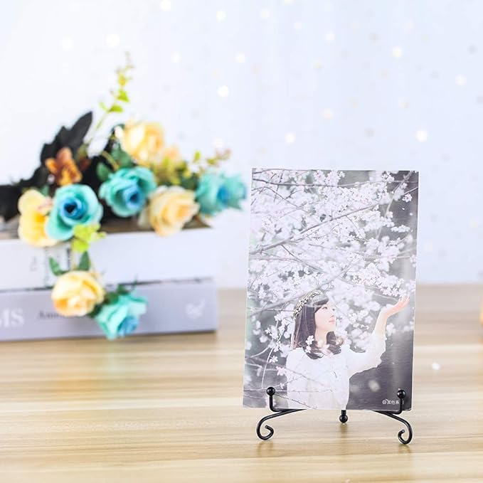 Iron Display Stand, Displays Picture Frames, Decorative Plates, Tablets and Art - Image 6