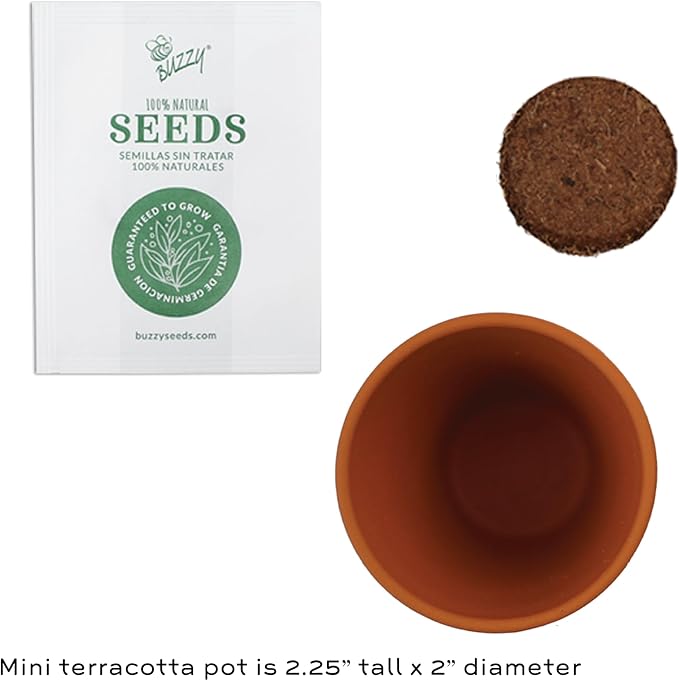 BUZZY Seeds Terracotta Mini Grow Pots | Herb, Flower Starter Kit - Image 3