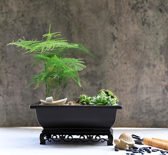 Cotta Planters Bonsai Pot - Image 5