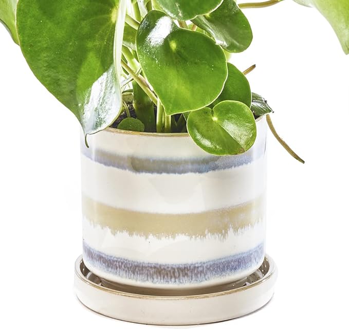 CHIVE ‘Minute’ Ceramic Planter Pot — Cute 5” Colorful Succulent Pots by Chive