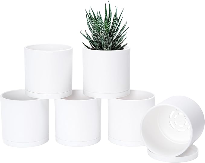 D'vine Dev 6 Pack 4.5 Inch Modern Plastic Plant Pots, Small Garden Planters by DvineDevPlanterPotsandStand