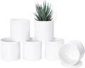 D'vine Dev 6 Pack 4.5 Inch Modern Plastic Plant Pots, Small Garden Planters by DvineDevPlanterPotsandStand