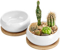 ZOUTOG 2 Pack Succulent Pots, 6 inch Ceramic Planters by ZOUTOG