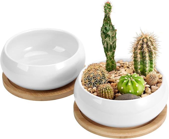 ZOUTOG 2 Pack Succulent Pots, 6 inch Ceramic Planters by ZOUTOG