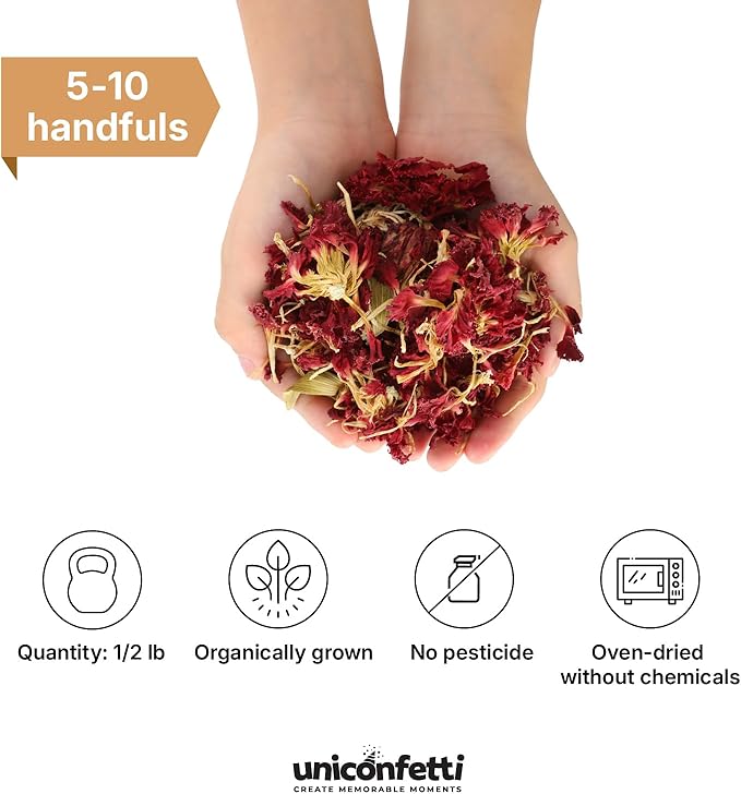 Dried Flower Carnation Biodegradable Confetti - Image 2