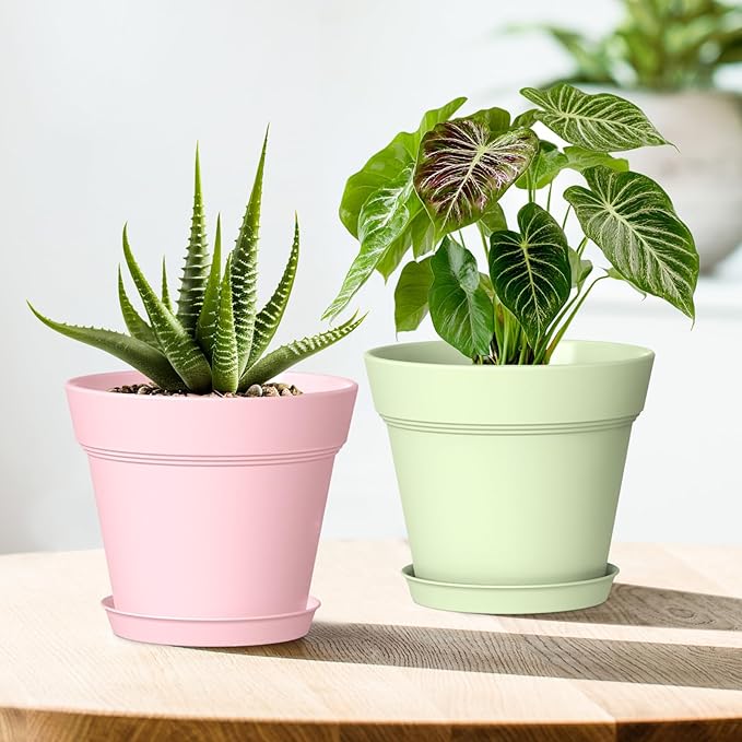 6 Inch Thick Plastic Plant Pots - Image 6