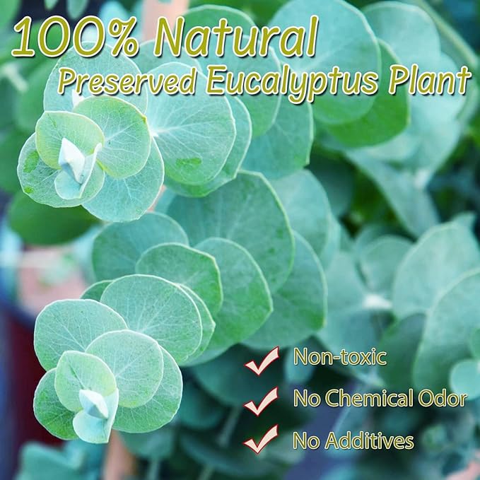 3200Preserved Real Eucalyptus Leaves Small, Pure Natural Bulk Eucalyptus - Image 7