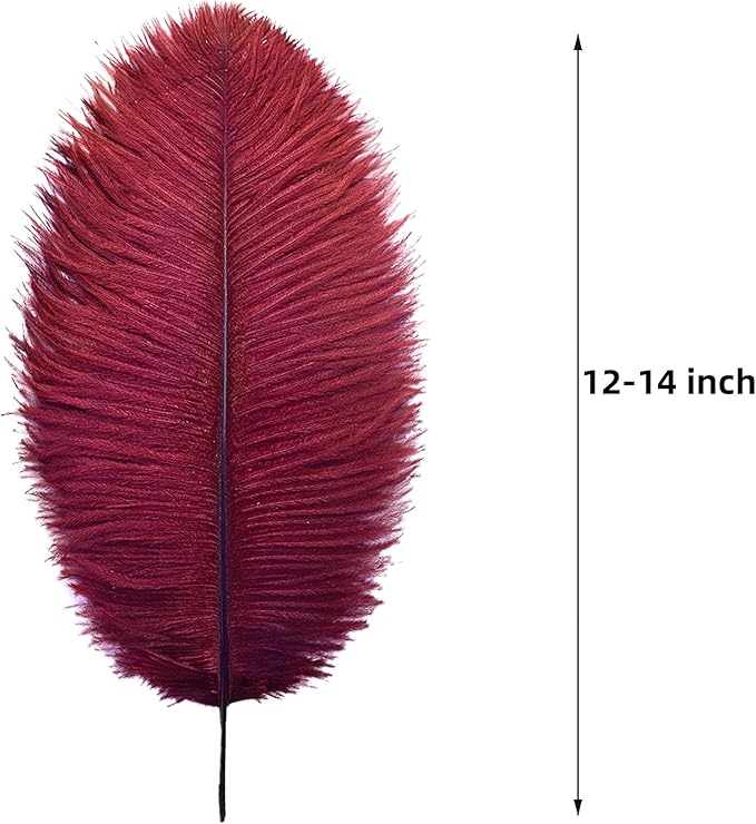 Ballinger Big Burgundy Ostrich Feathers - Image 3