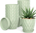 12 Pack 4 Inch Small Plant Pots by UOUZ