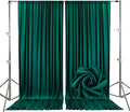 10ft x 10ft Lake Green Backdrop Curtains by Tisspoms