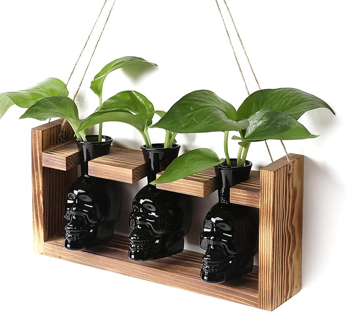 Plant Terrarium Propagation Stations Hydroponics Halloween Skull Planter Vase by Unknown