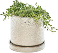 CHIVE ‘Minute’ Ceramic Planter Pot — Cute 5” Colorful Succulent Pots by Chive