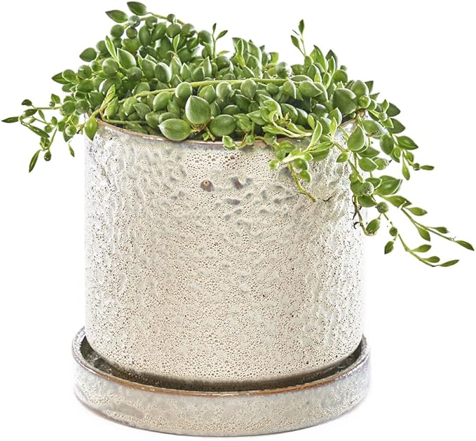 CHIVE ‘Minute’ Ceramic Planter Pot — Cute 5” Colorful Succulent Pots by Chive