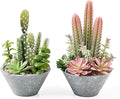 2-Pack Artificial Succulent Plants in Vintage Plastic Pots by Fuxdre