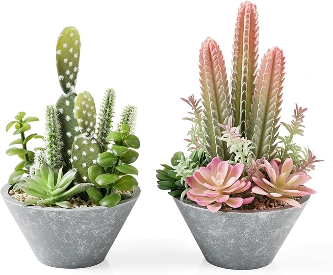 2-Pack Artificial Succulent Plants in Vintage Plastic Pots by Fuxdre