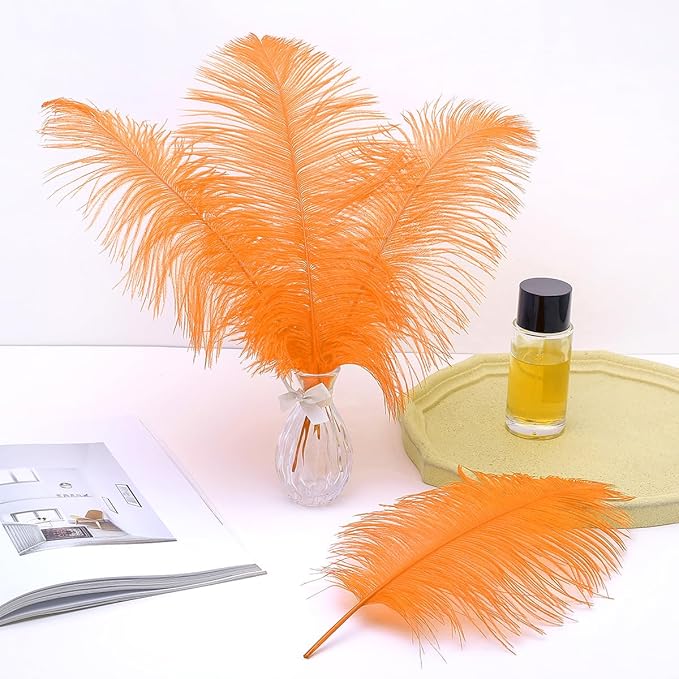 Ballinger Orange Large Ostrich Feathers - Image 5