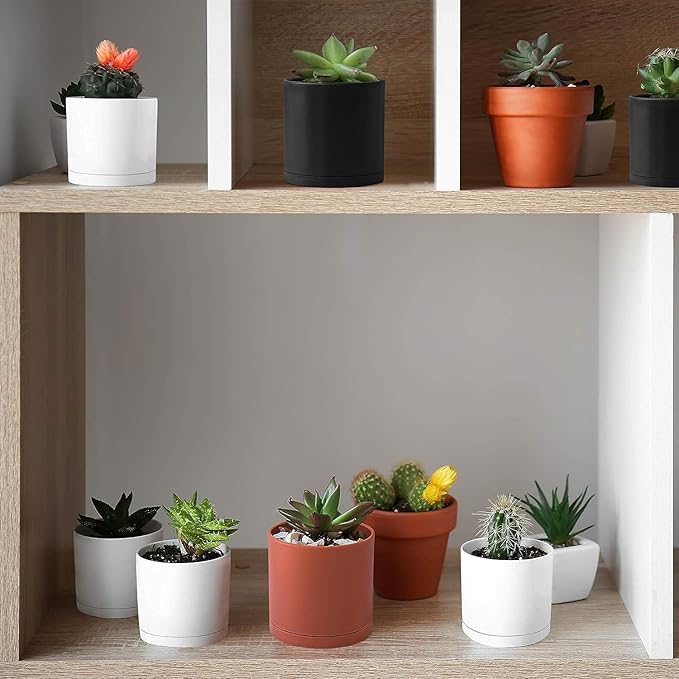 D'vine Dev 18 Pack 2.5 Inch Mini Plastic Plant Pots, Small Garden Planters - Image 6