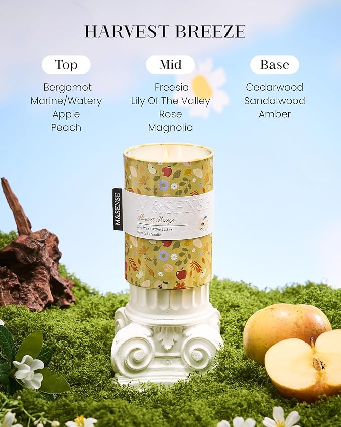M&SENSE Harvest Breeze Scented Candle, Medium Jar Candle 11.3oz Natural Soy Wax - Image 2