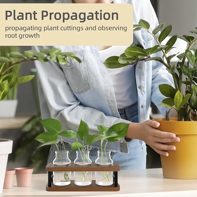 THYGIFTREE Plant Propagation Station - Image 6