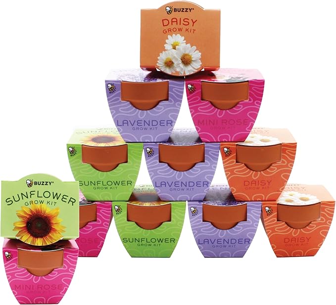 BUZZY Seeds Terracotta Mini Grow Pots | Flower Starter Kit by BUZZY