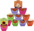 BUZZY Seeds Terracotta Mini Grow Pots | Flower Starter Kit by BUZZY