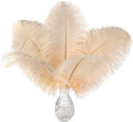 Ballinger Light Salmon Ostrich Feathers by Ballinger