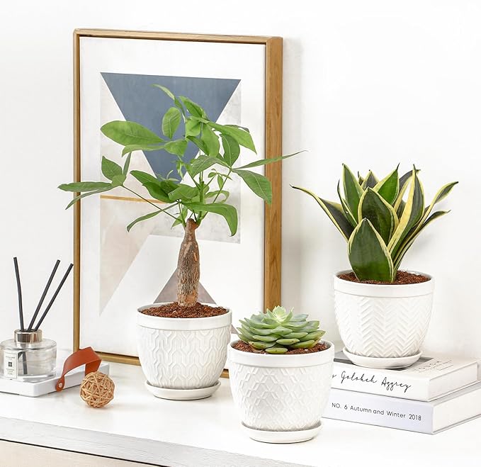 Sureasy Ceramic Indoor Plant Pots - Image 7