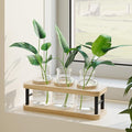 THYGIFTREE Plant Propagation Station by THYGIFTREE