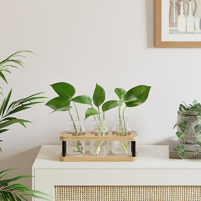 THYGIFTREE Plant Propagation Station - Image 2