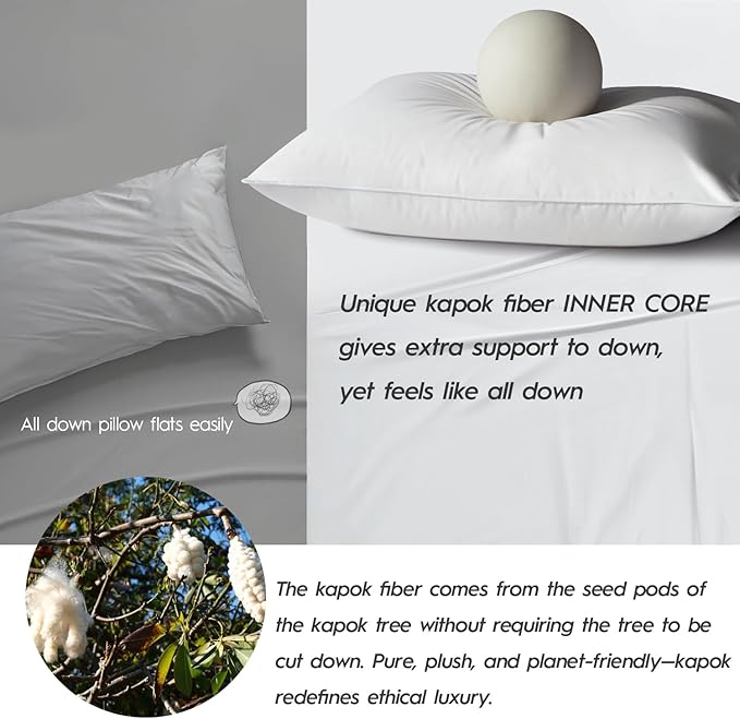 Globon Luxury Down Pillows Queen Size Set of 2 - Image 4