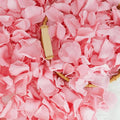 200Pcs Dried Real Pink Rose Petals, Preserved Flower Petals 1.75oz by Koceko