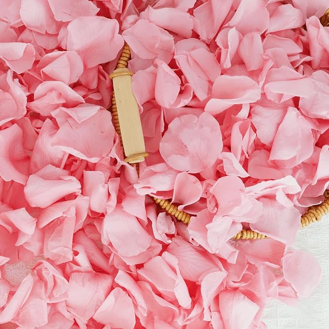 200Pcs Dried Real Pink Rose Petals, Preserved Flower Petals 1.75oz by Koceko
