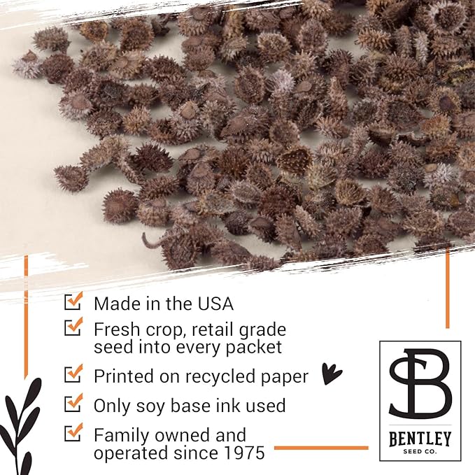 Bentley Thank You Packet - Image 7
