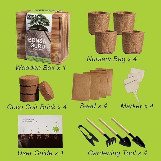 Bonsai Tree Kit with 4 Types of Seeds, Organic Coco Coir Bricks, Bonsai Pot - Image 3