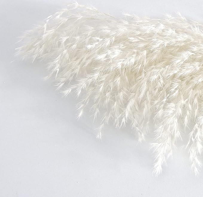White Pampas Grass for Home Decor - Image 6