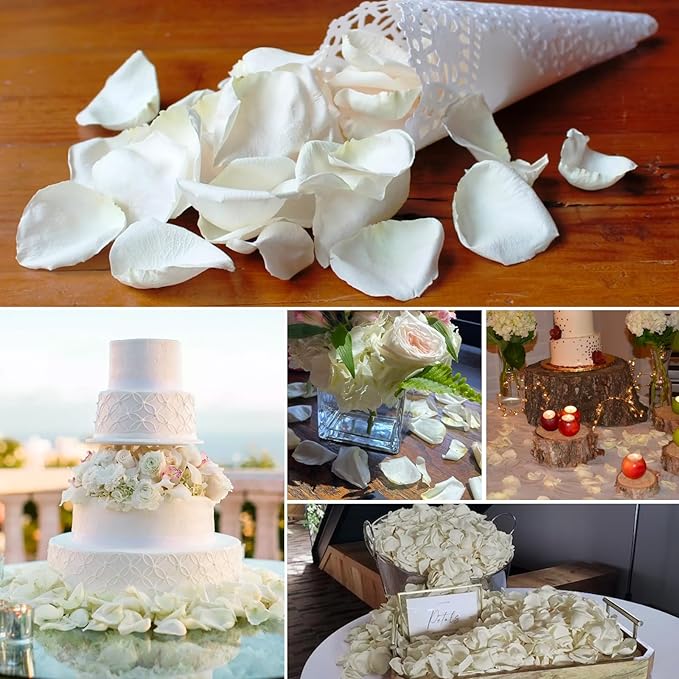 Dried Real White Rose Petals, Freeze Preserved Flower Petals 1.75oz - Image 6