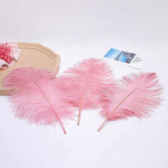 Ballinger Lotus Pink Ostrich Feathers - Image 8