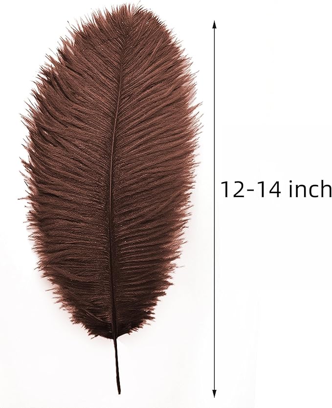 Ballinger Brown Big Ostrich Feathers - Image 3