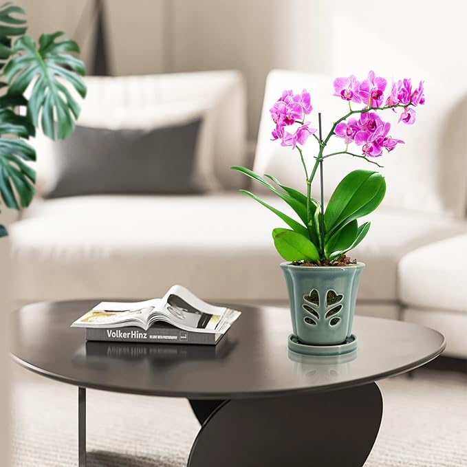 4 Inch Orchid Pot, Orchid Pots - Image 3