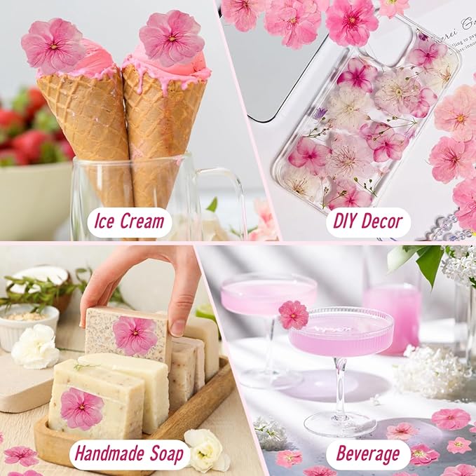 40 Pcs 2 Kinds Natural Pressed Dried Edible Flowers - Image 4