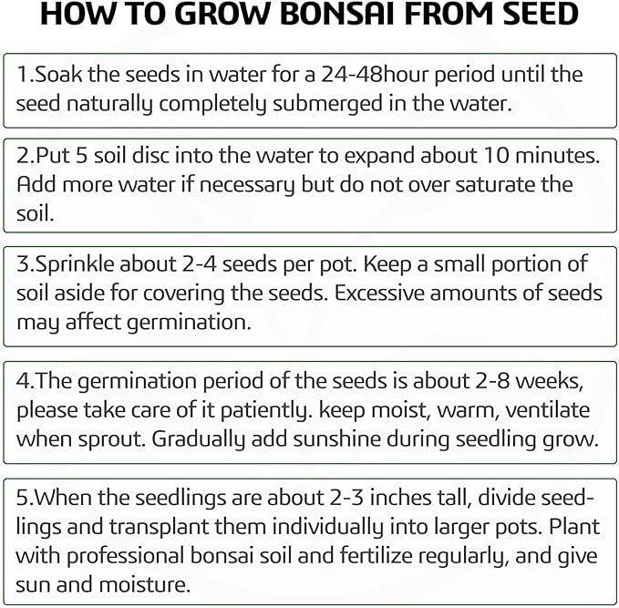 5 Bonsai Tree Kit Complete Plant Growing Tools, Grow in Pot Indoor Bonsai Tree - Image 6