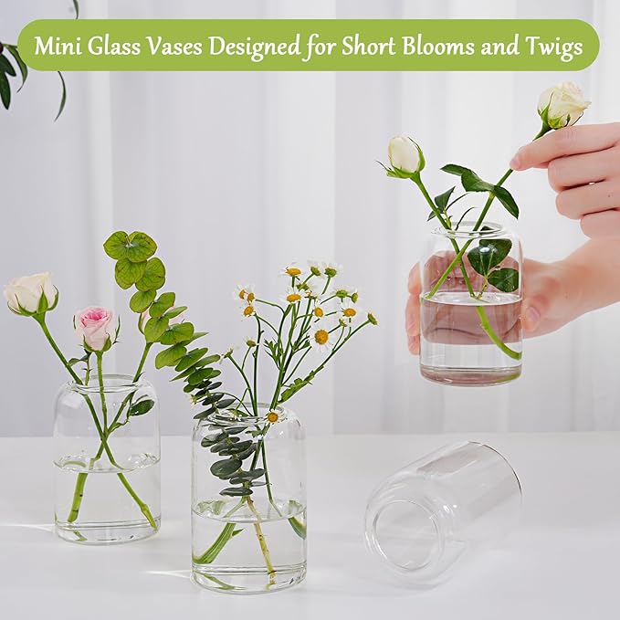 Small Glass Flower Vases - Image 4