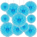 Tissue Paper Pom Poms, Hanging Flower Balls by Tisspoms